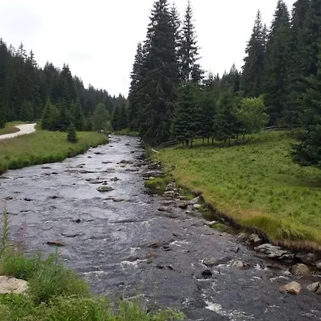 Srni- Cerveny Byt/ Dvojdomek U Vydra Daire *